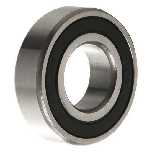 BALERO RADIAL BOLAS 6004-2RS